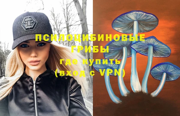 бошки Дмитровск