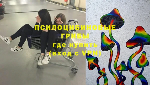 дурь Дмитриев