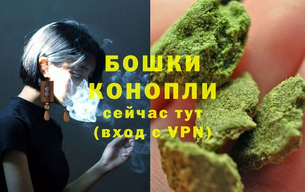 дурь Дмитриев