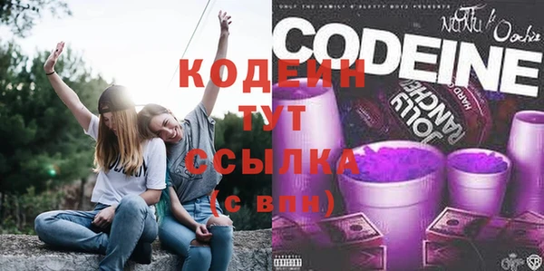 дурь Дмитриев